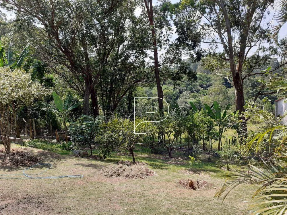 Casa, 4 quartos, 248 m² - Foto 7