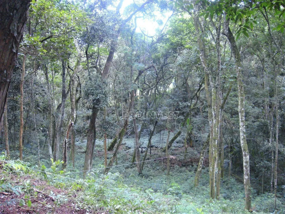 Loteamento e Condomínio, 1472 m² - Foto 1
