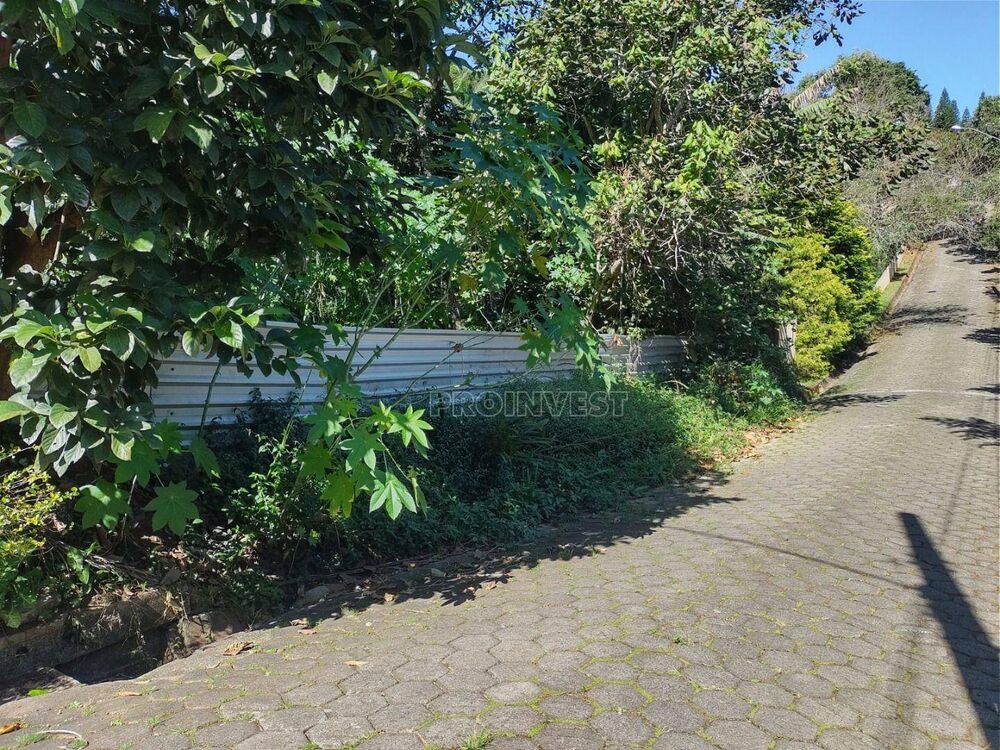 Loteamento e Condomínio, 1000 m² - Foto 2