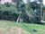 Terreno, 298 m² - Foto 9