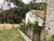 Terreno, 298 m² - Foto 8
