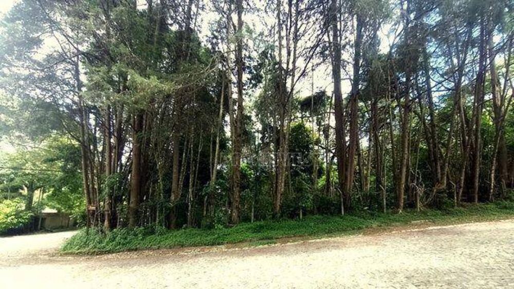 Loteamento e Condomínio, 1859 m² - Foto 4
