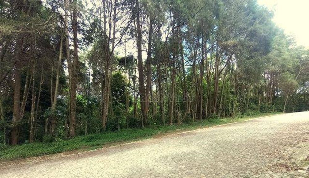 Loteamento e Condomínio, 1859 m² - Foto 5
