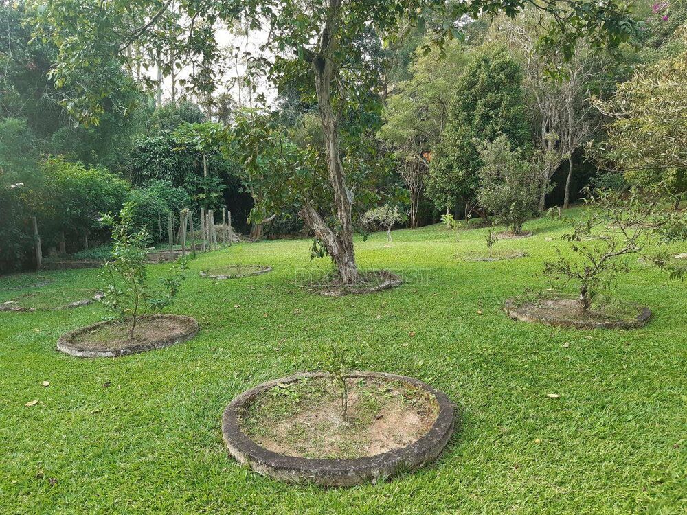 Casa, 3 quartos, 323 m² - Foto 6