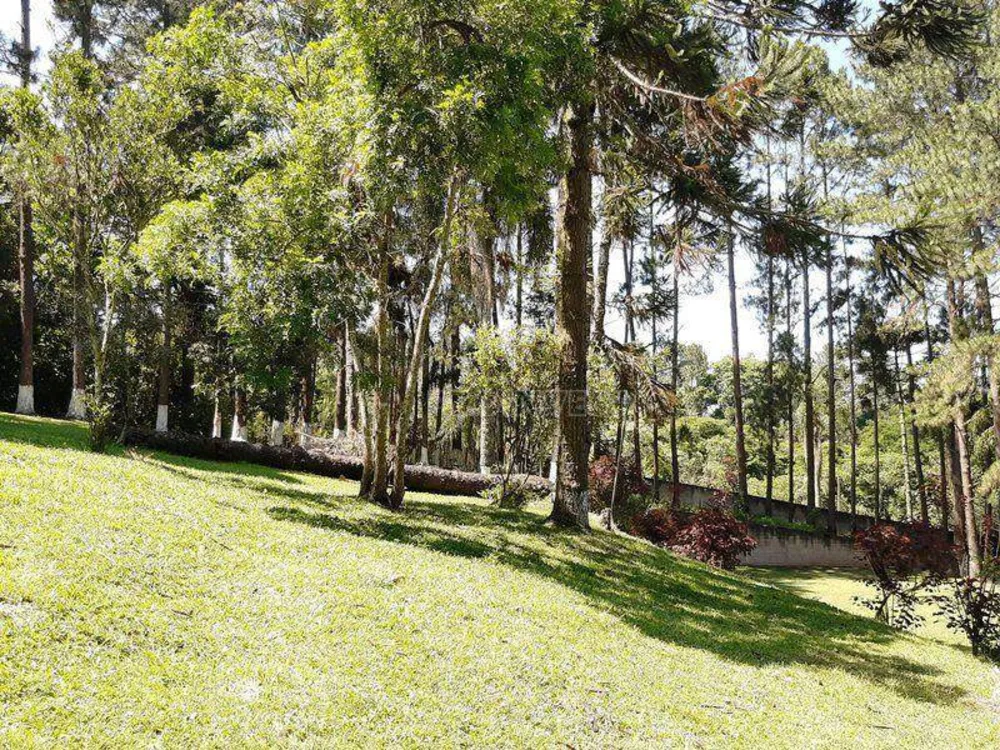 Chácara, 3 quartos, 3 hectares - Foto 25