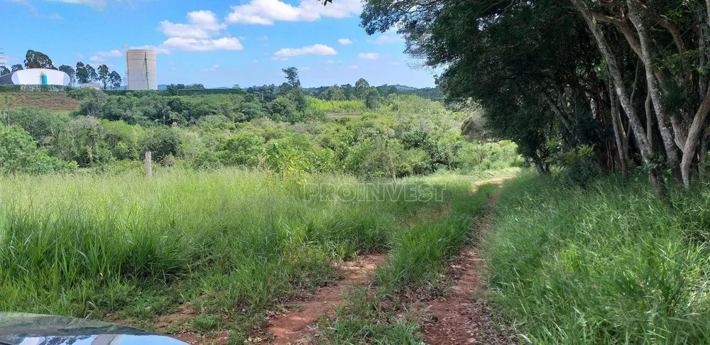Terreno, 9 hectares - Foto 3