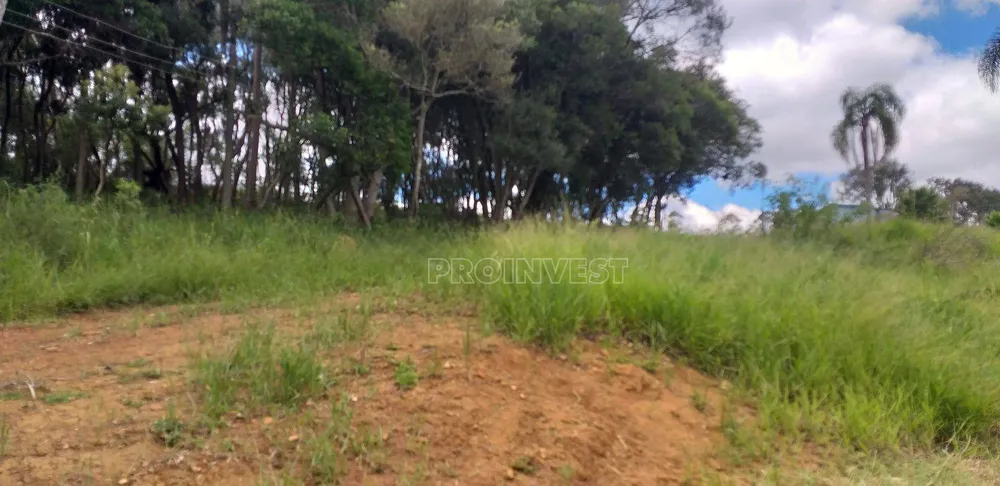 Terreno, 9 hectares - Foto 1