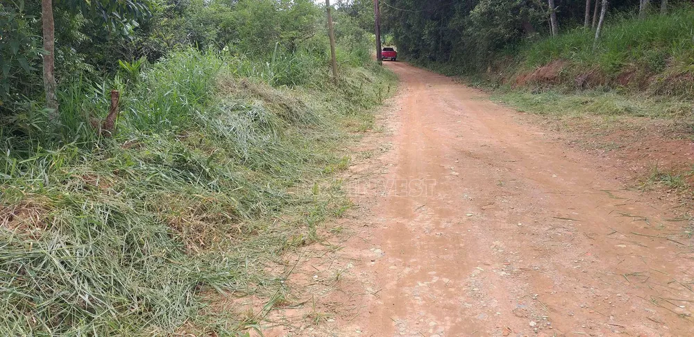 Terreno, 9 hectares - Foto 2