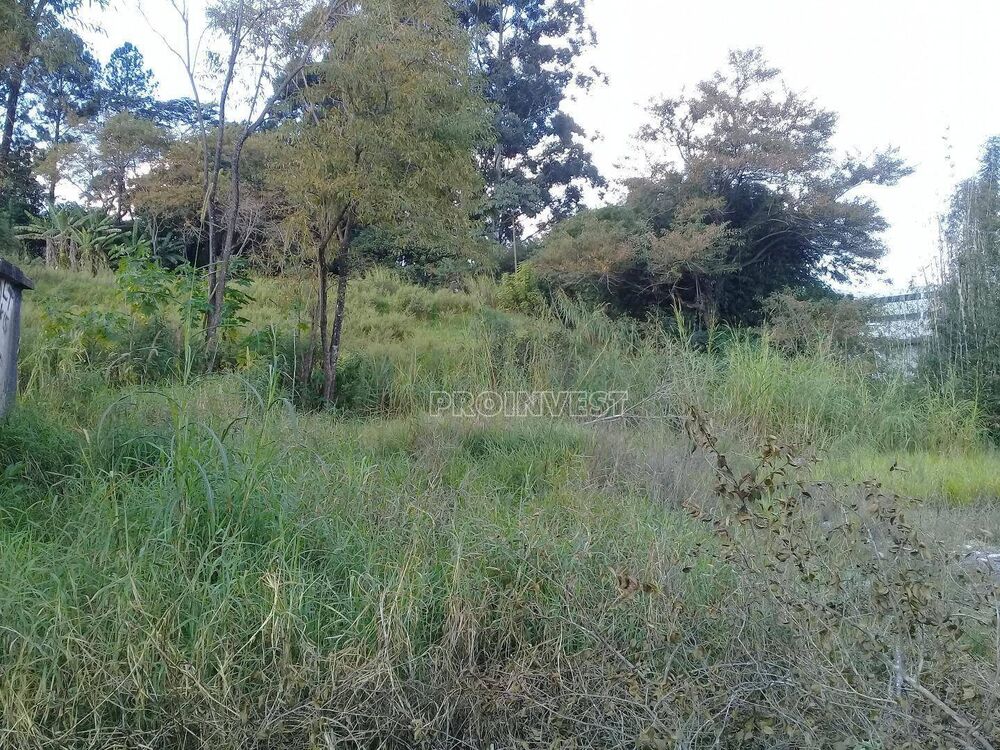 Terreno, 3 hectares - Foto 10