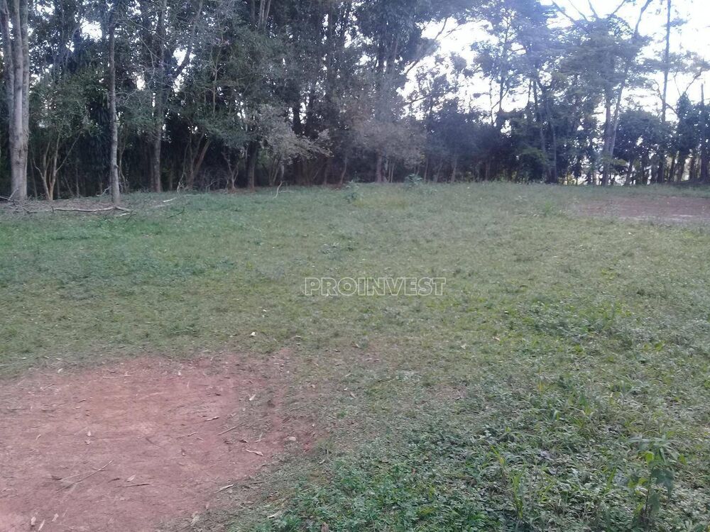 Terreno, 3 hectares - Foto 5