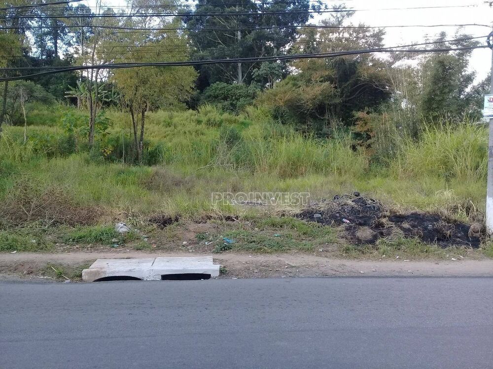 Terreno, 3 hectares - Foto 11