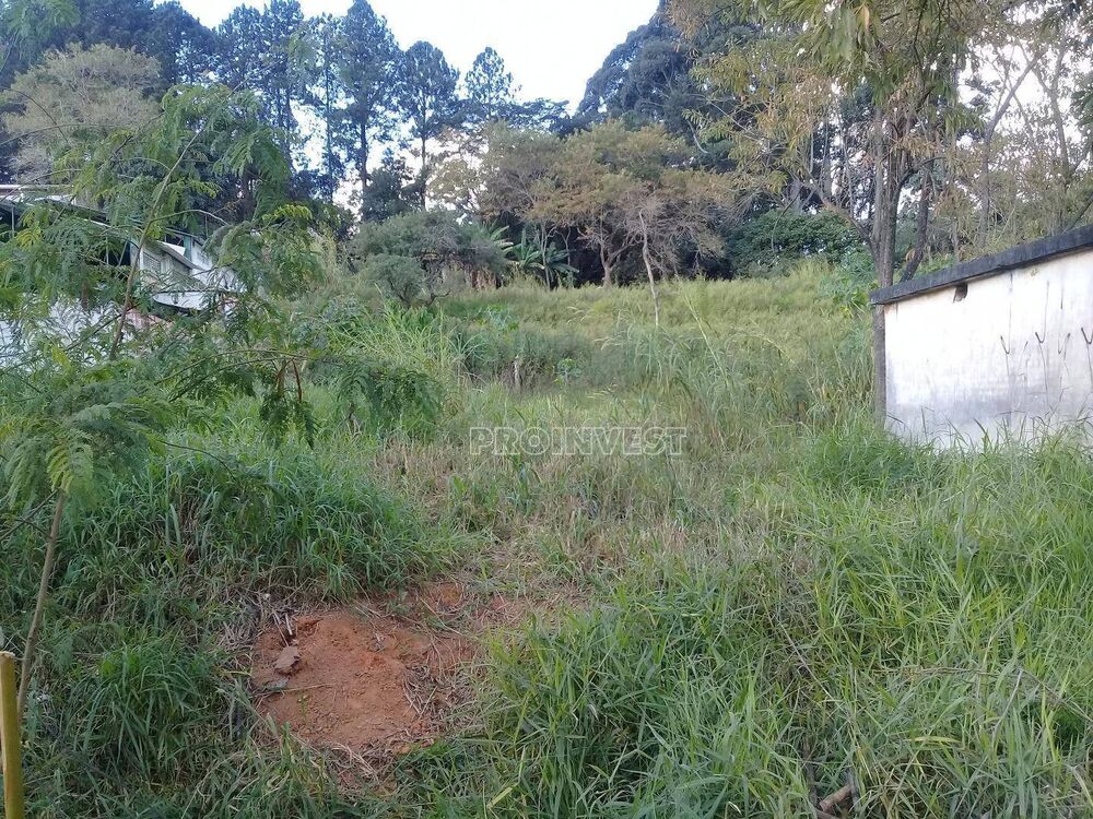 Terreno, 3 hectares - Foto 9