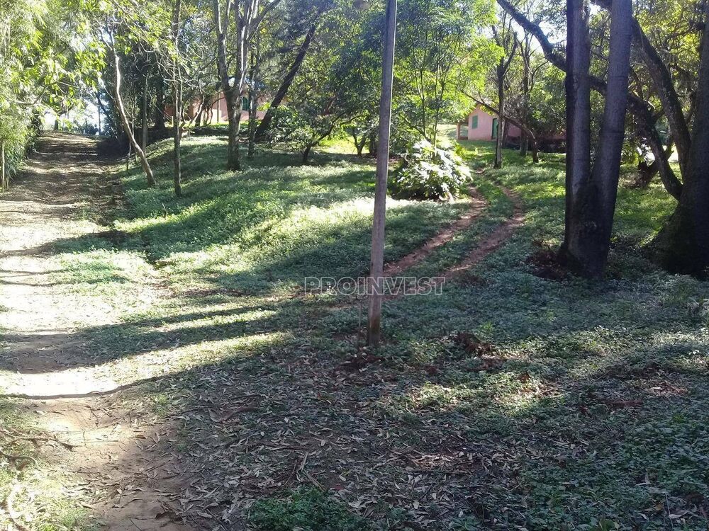 Terreno, 3 hectares - Foto 3