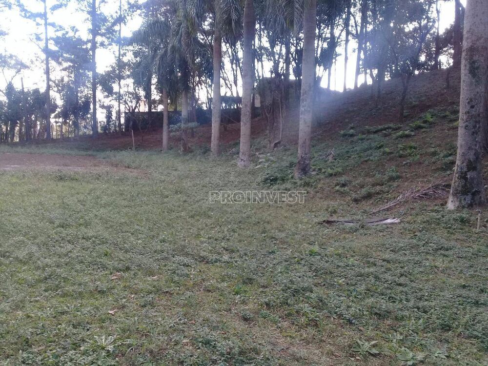 Terreno, 3 hectares - Foto 6