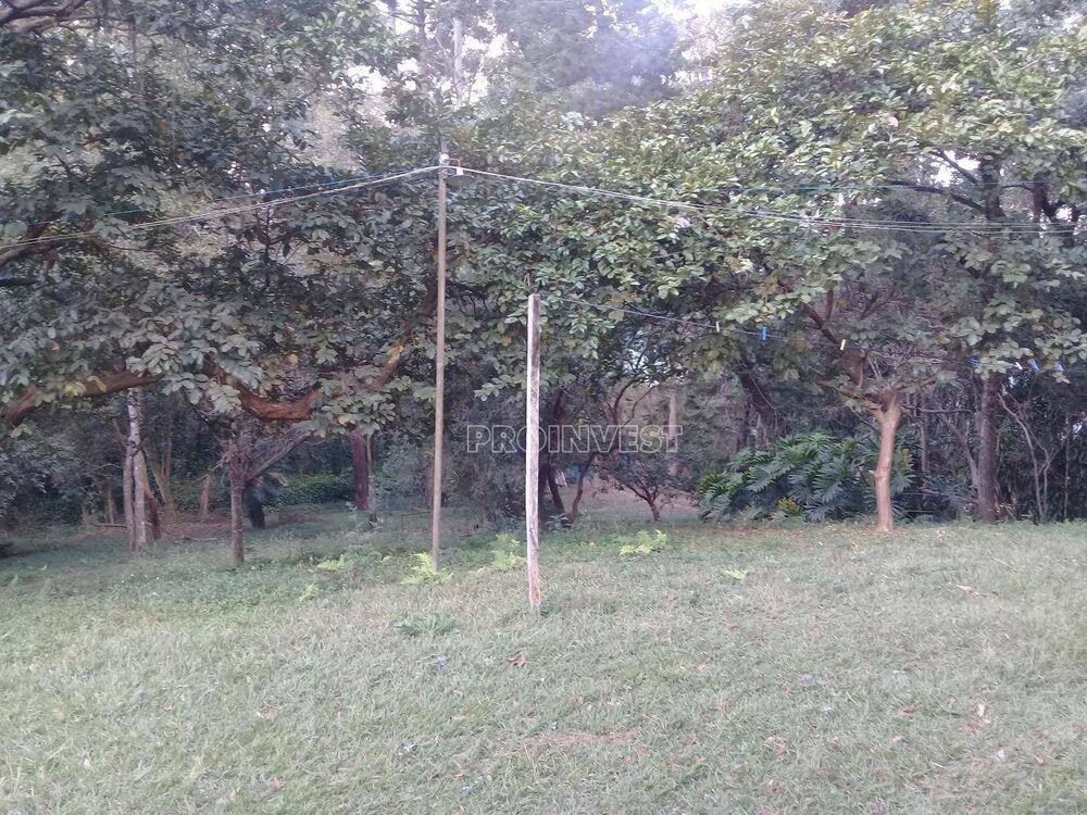 Terreno, 3 hectares - Foto 8