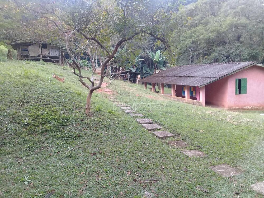 Terreno, 3 hectares - Foto 7