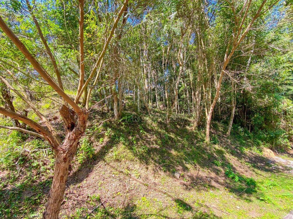 Loteamento e Condomínio, 360 m² - Foto 5