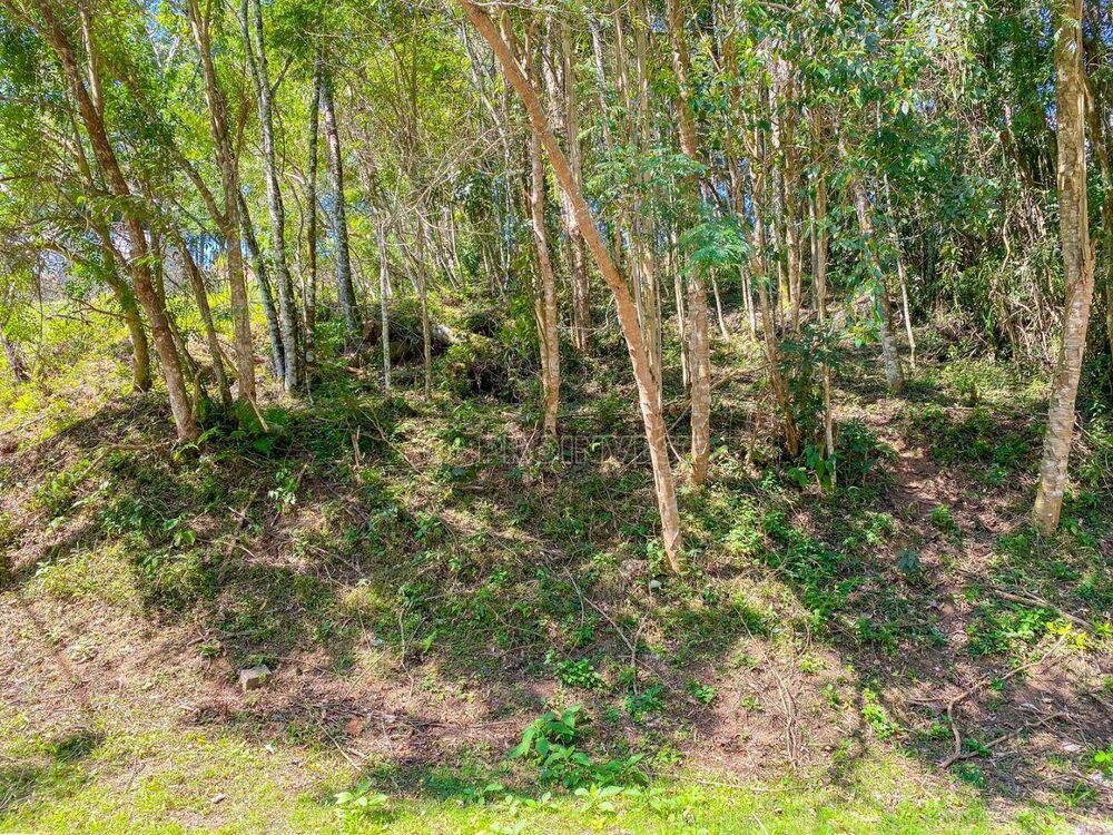Loteamento e Condomínio, 360 m² - Foto 6