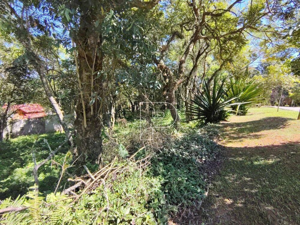 Loteamento e Condomínio, 700 m² - Foto 1