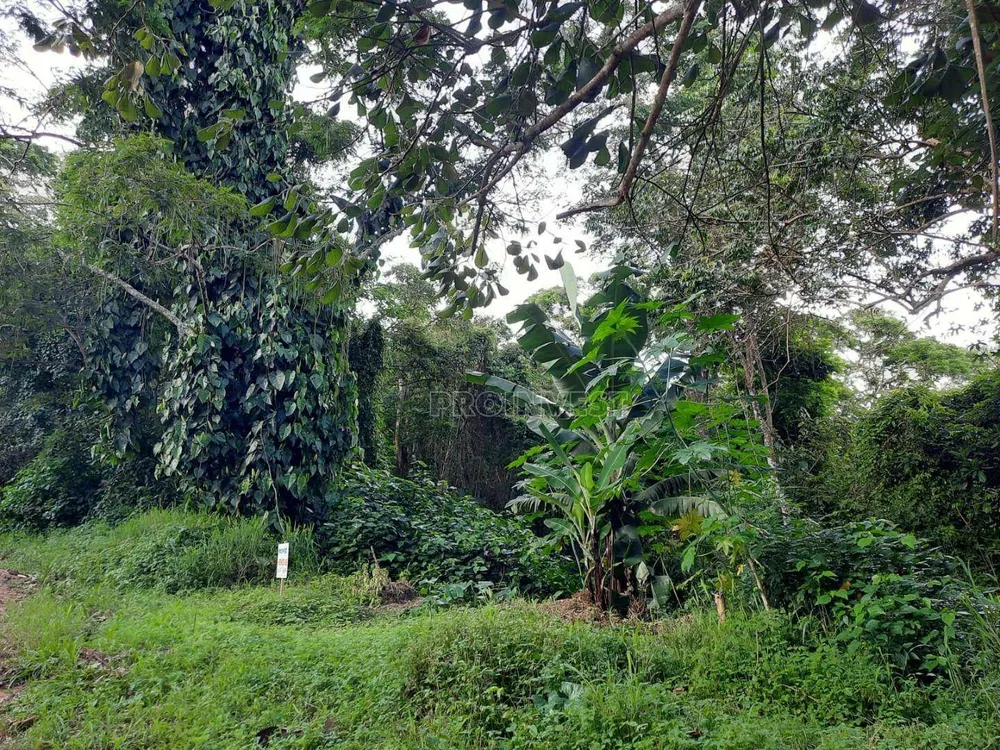 Terreno, 1200 m² - Foto 1