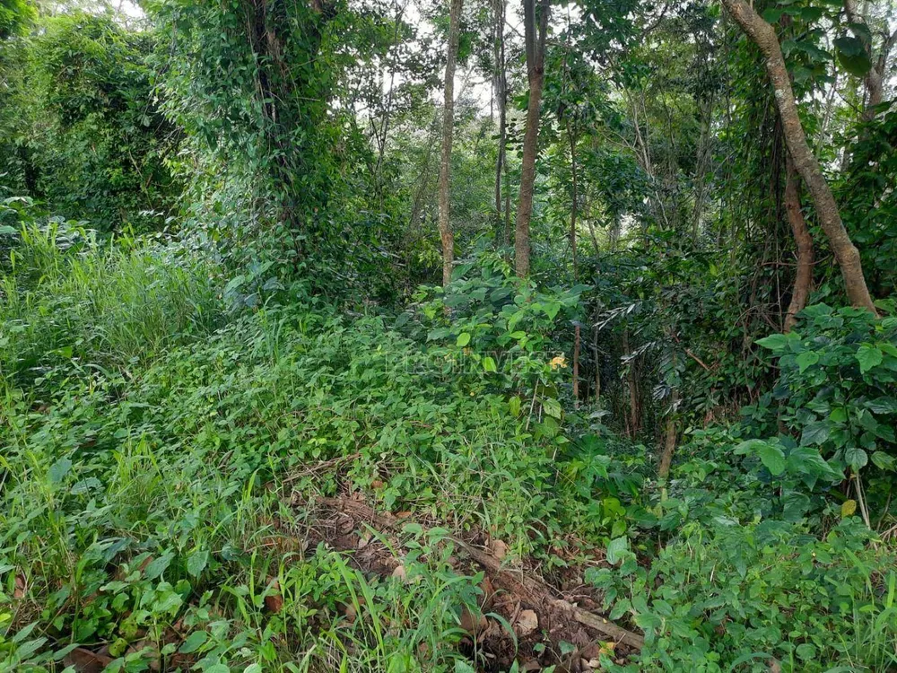 Terreno, 1200 m² - Foto 2