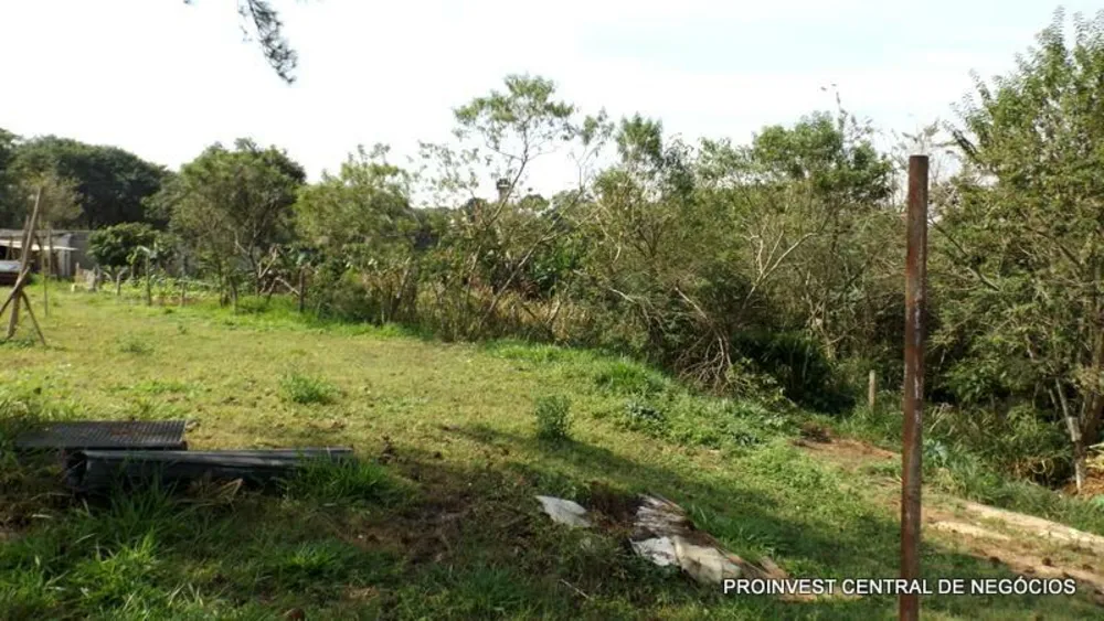 Terreno, 5 hectares - Foto 1