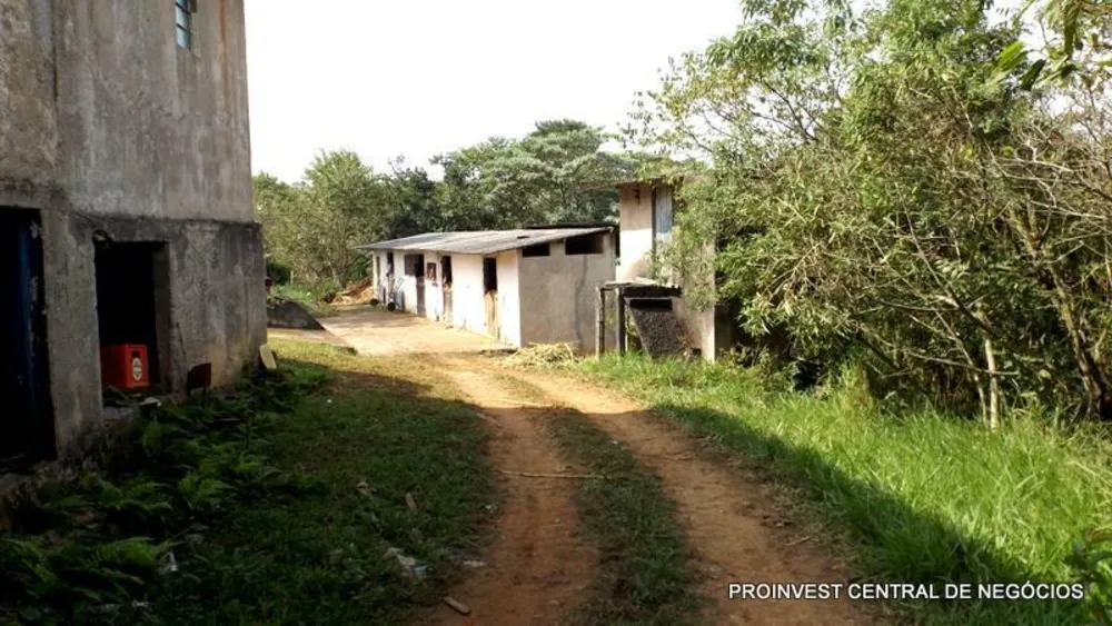 Terreno, 5 hectares - Foto 7