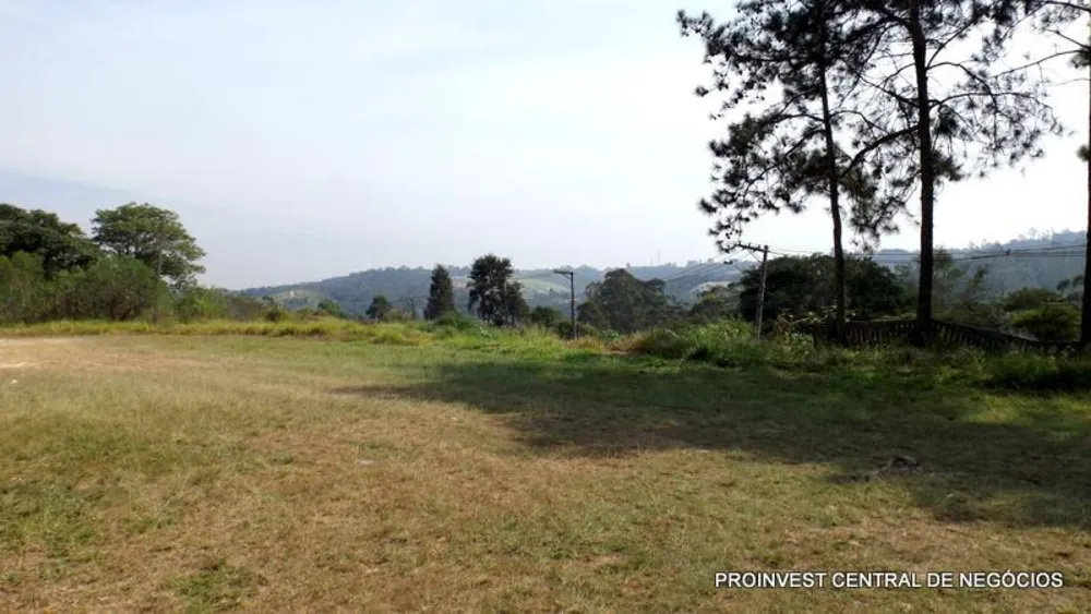 Terreno, 5 hectares - Foto 4