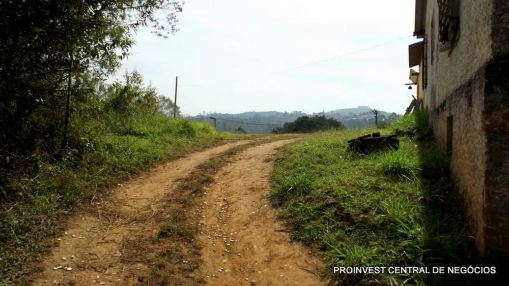 Terreno, 5 hectares - Foto 8