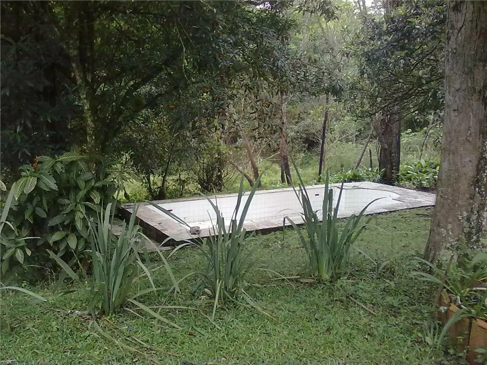 Terreno, 9 hectares - Foto 6