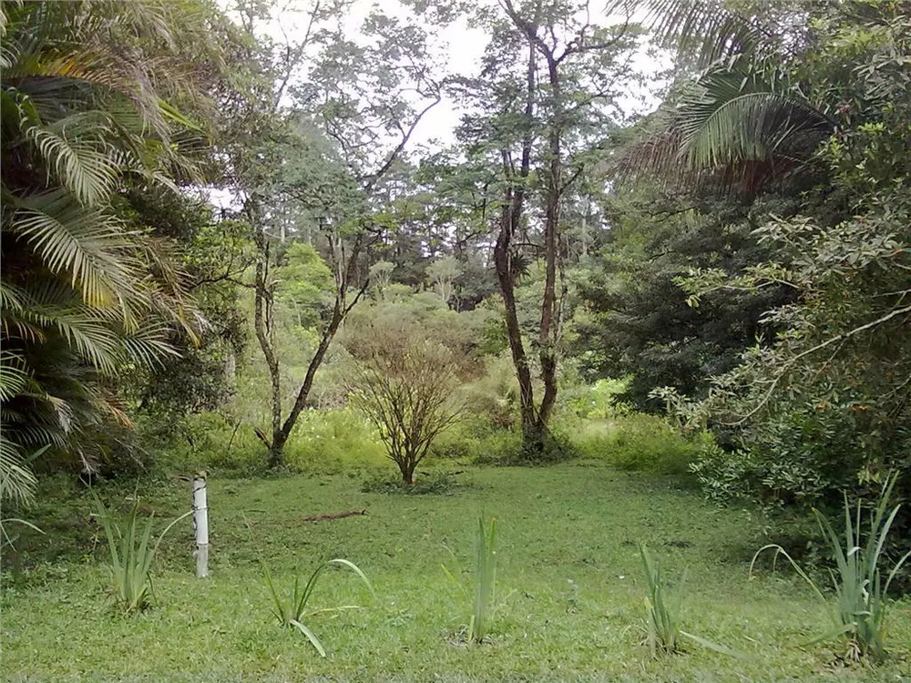 Terreno, 9 hectares - Foto 4