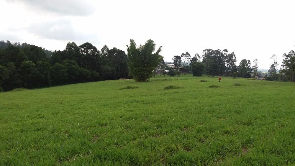 Terreno, 20 hectares - Foto 2