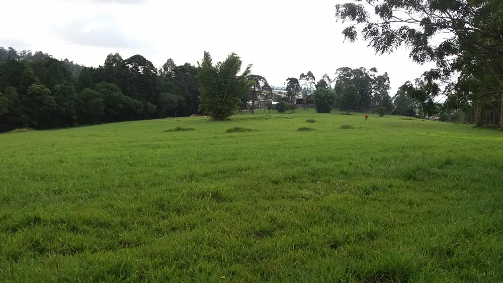 Terreno, 20 hectares - Foto 4