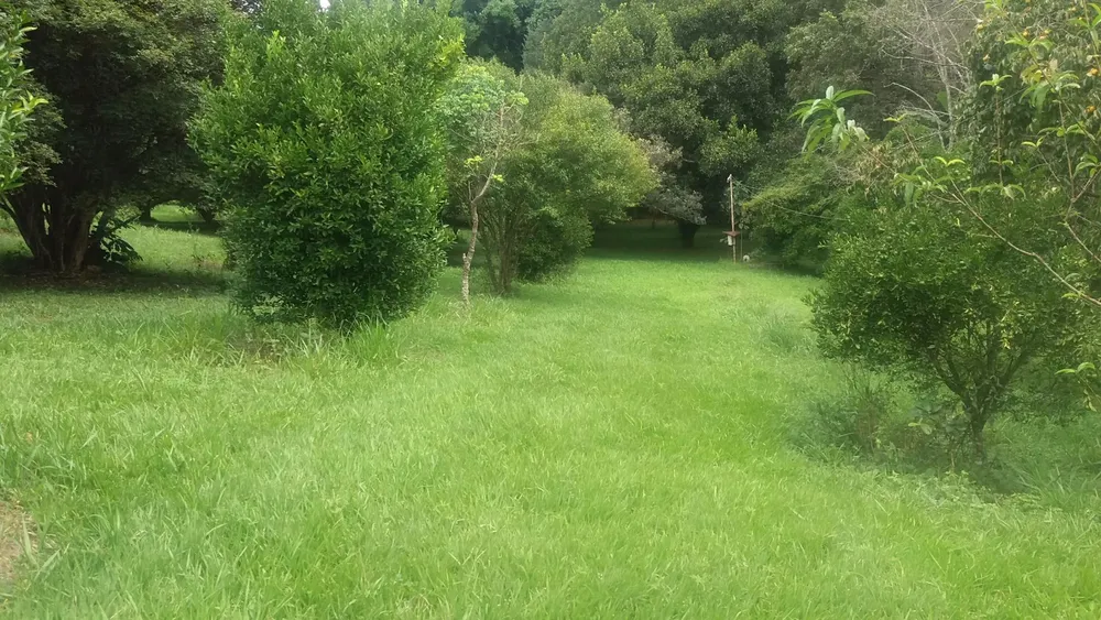 Terreno, 20 hectares - Foto 9