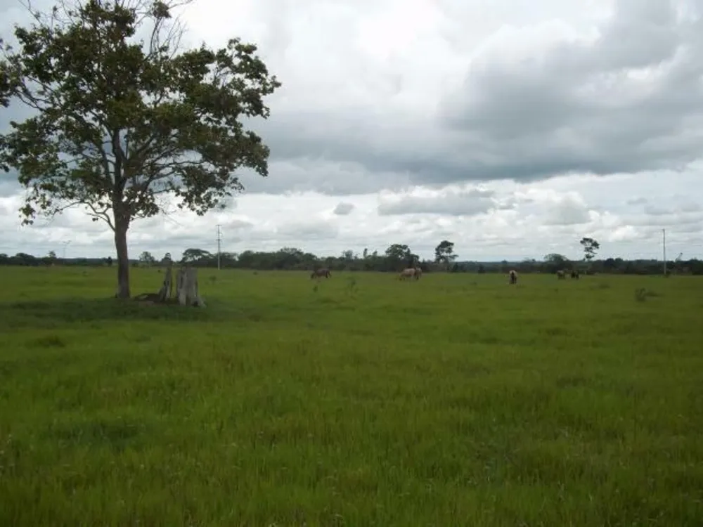 Terreno, 20 hectares - Foto 1