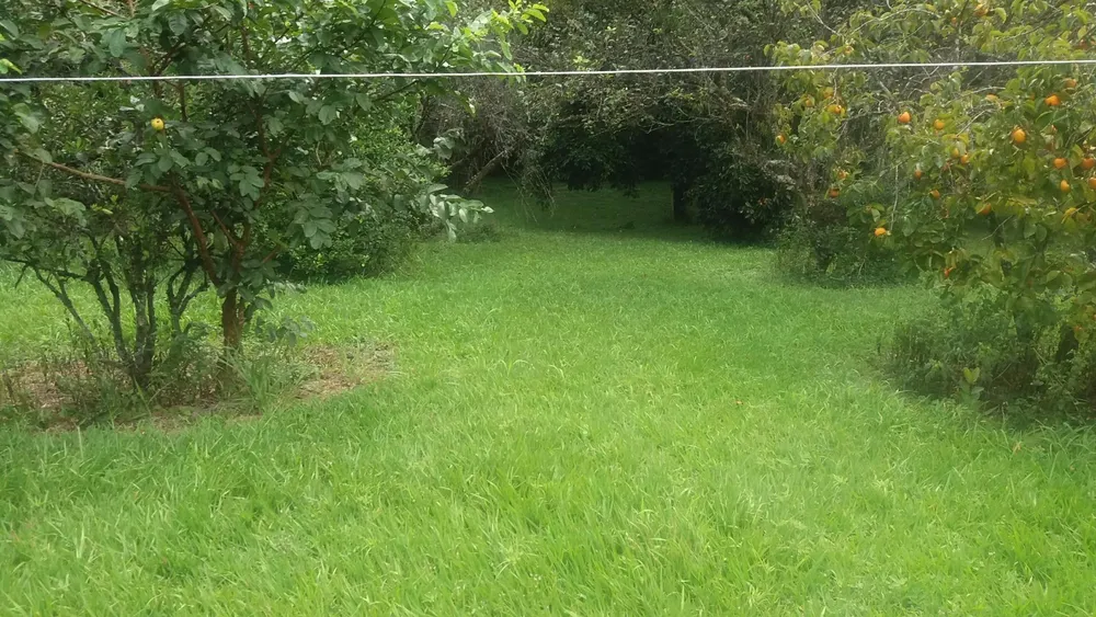 Terreno, 20 hectares - Foto 10