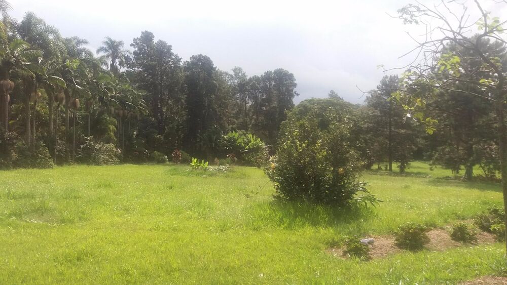 Terreno, 20 hectares - Foto 4