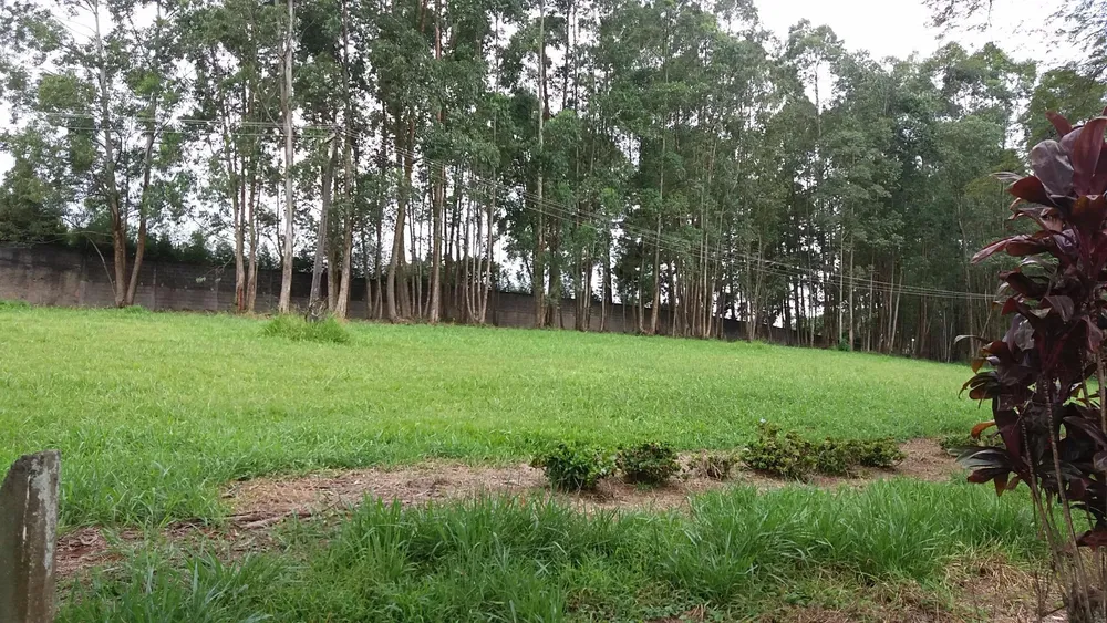Terreno, 20 hectares - Foto 7