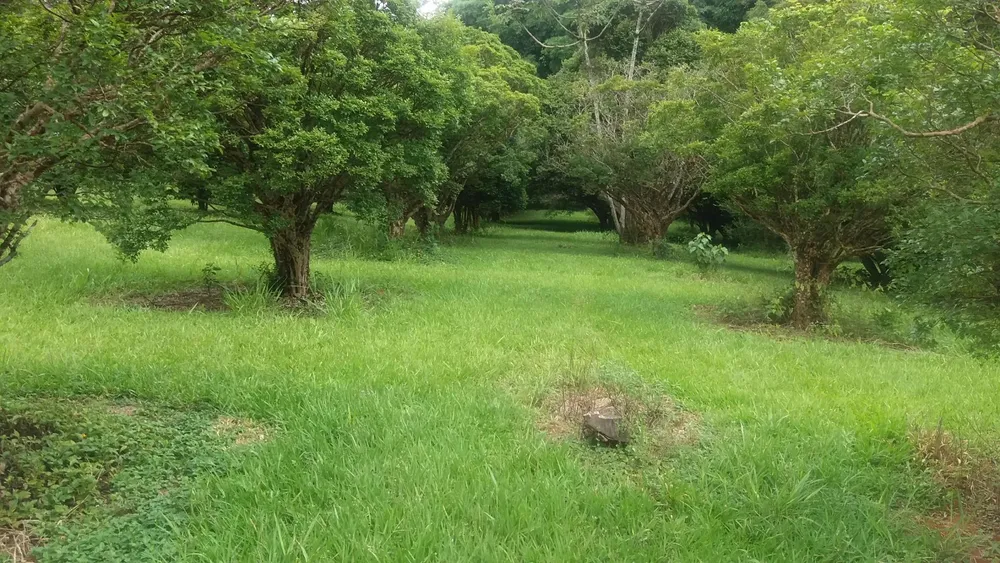 Terreno, 20 hectares - Foto 8
