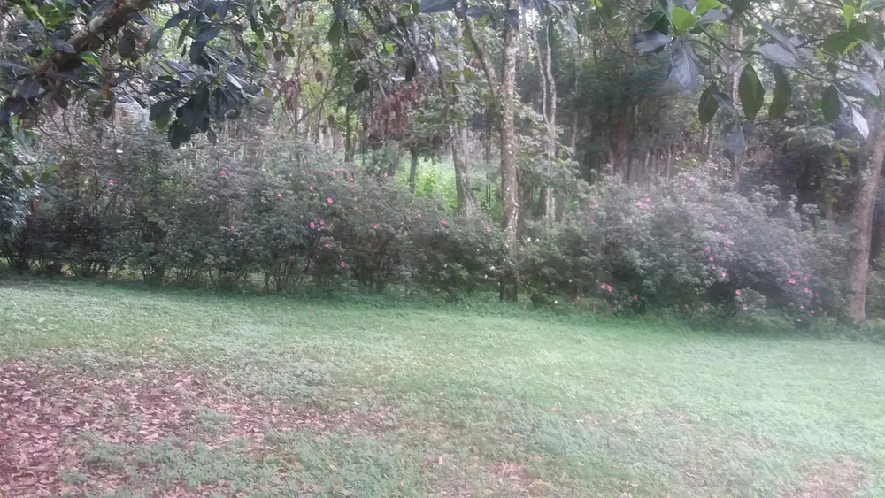 Terreno, 20 hectares - Foto 12