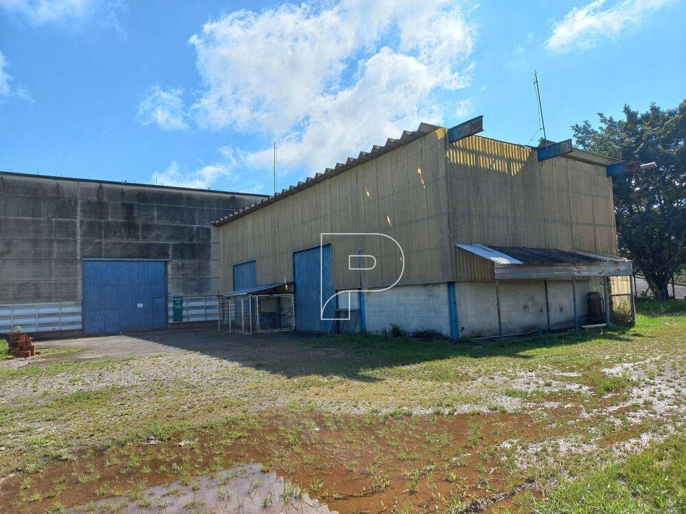 Depósito-Galpão, 6000 m² - Foto 4