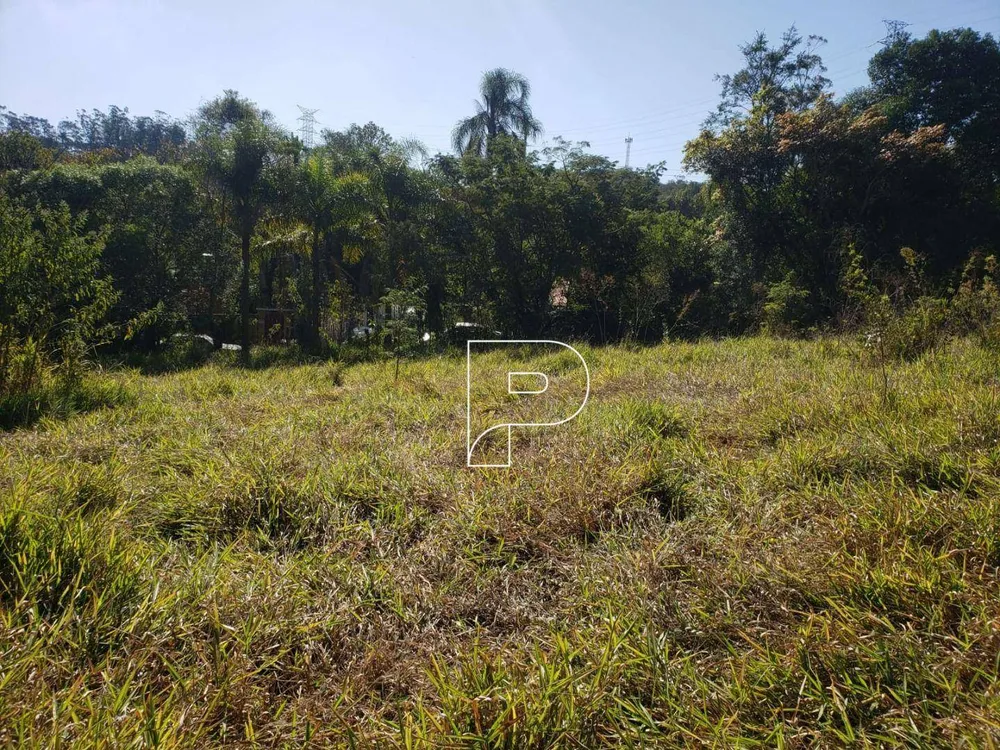 Terreno, 8274 m² - Foto 3