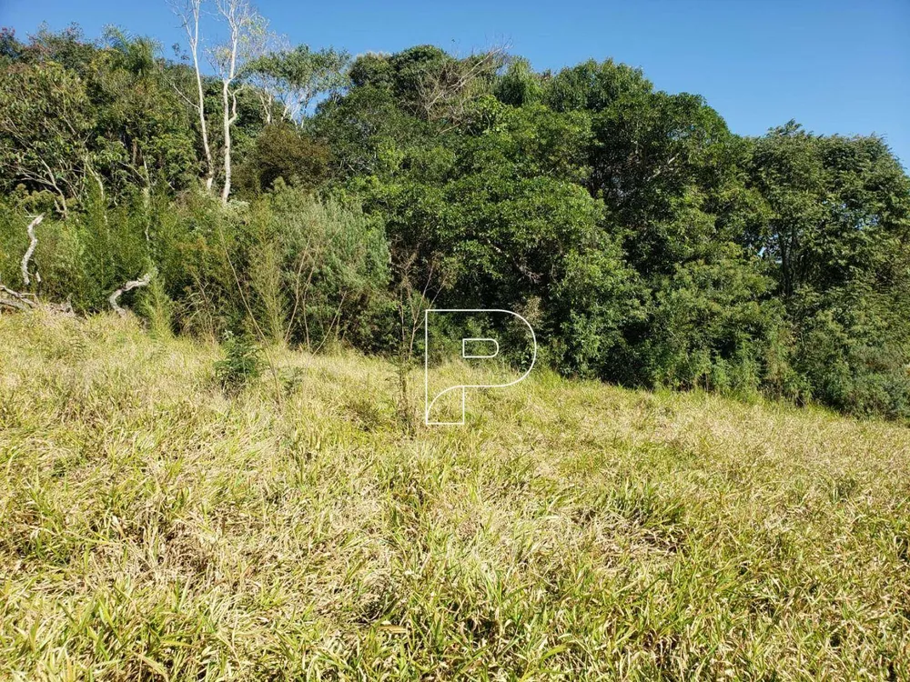 Terreno, 8274 m² - Foto 10