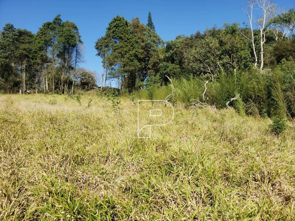 Terreno, 8274 m² - Foto 5