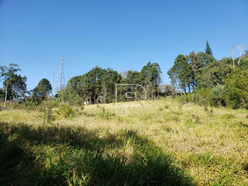 Terreno, 8274 m² - Foto 12