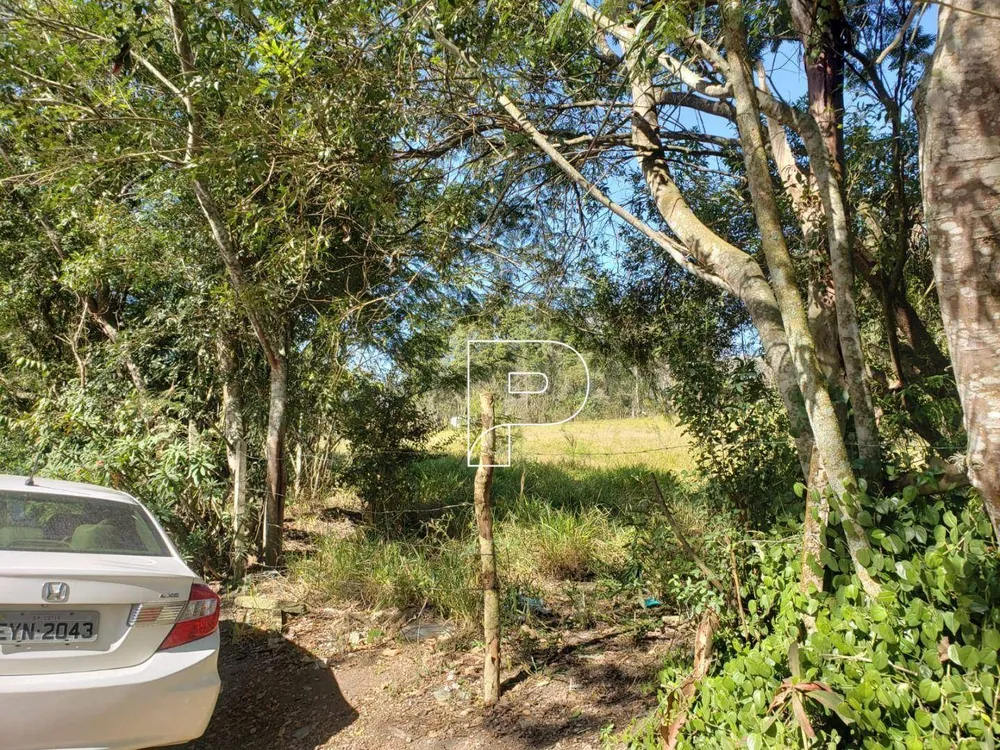 Terreno, 8274 m² - Foto 11