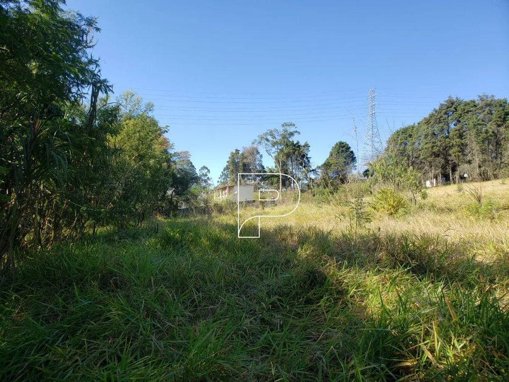 Terreno, 8274 m² - Foto 6