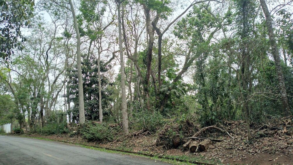 Loteamento e Condomínio, 2000 m² - Foto 12