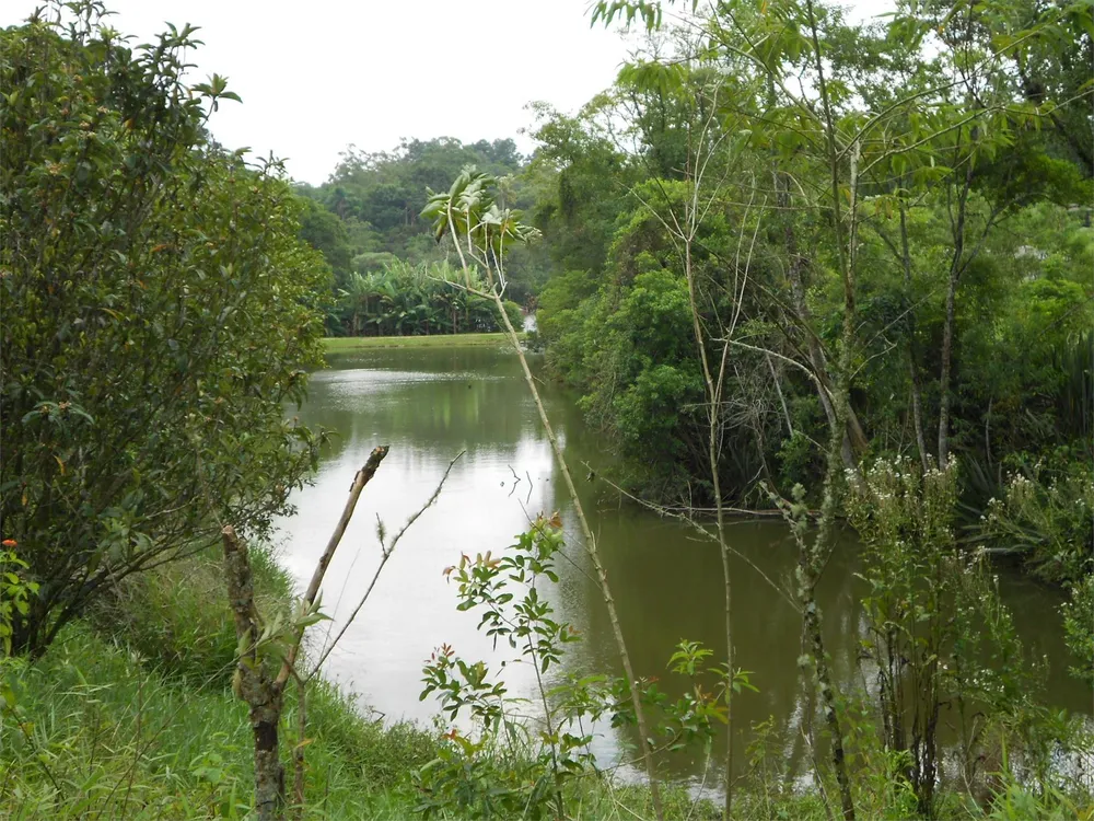 Sítio, 3 quartos, 7 hectares - Foto 4