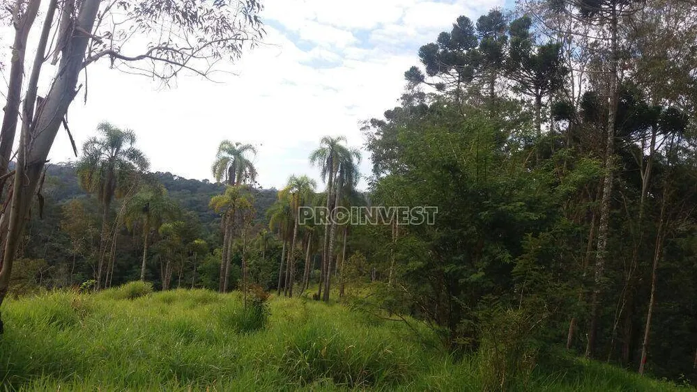 Terreno, 2 hectares - Foto 7